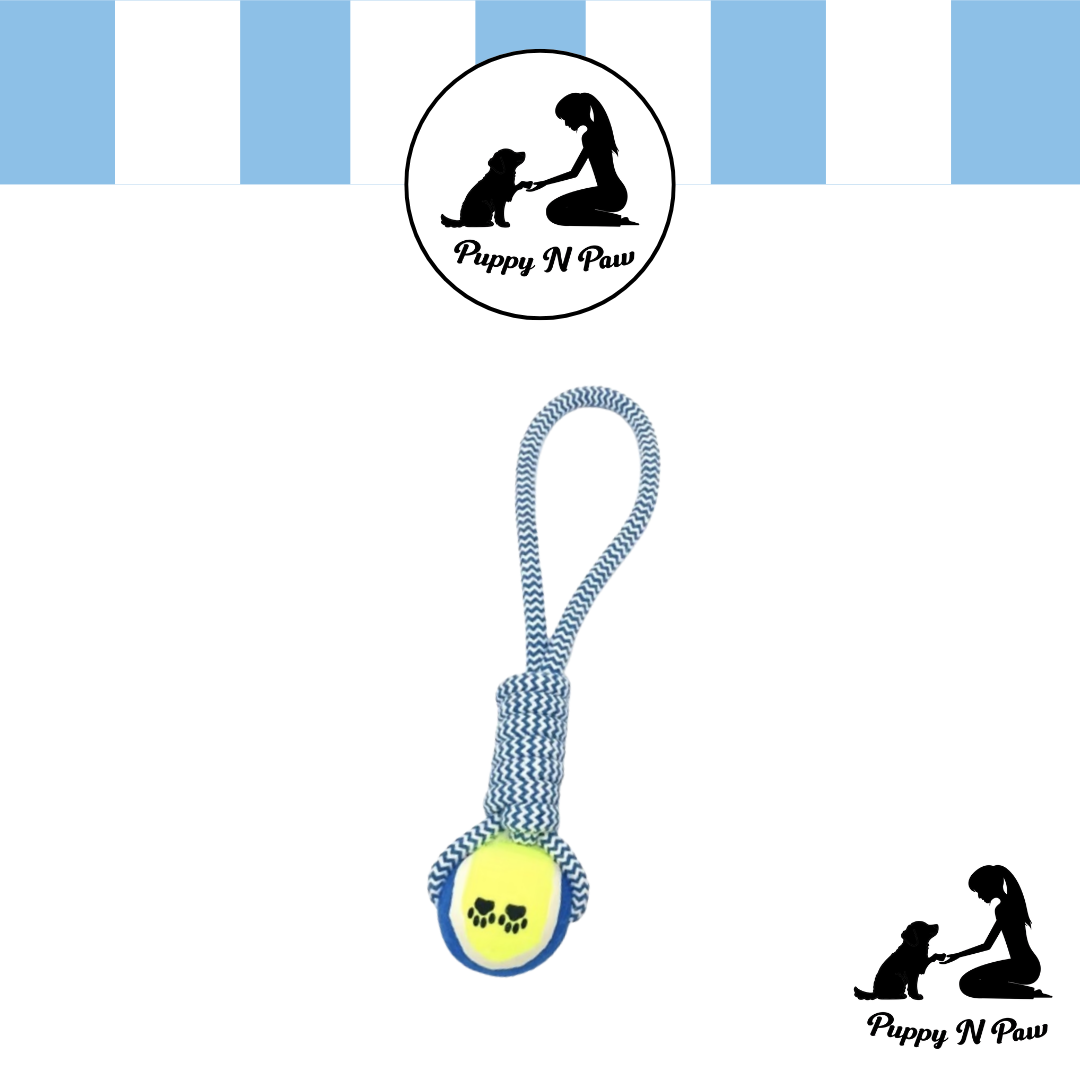 Puppy N Paw Rope with Tennis Ball for Pets