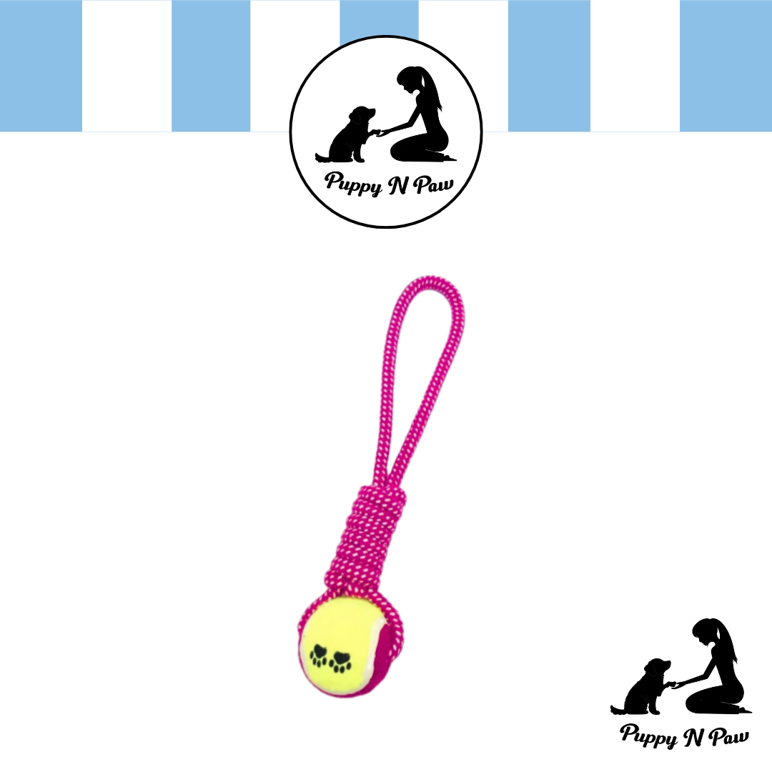 Puppy N Paw Rope with Tennis Ball for Pets