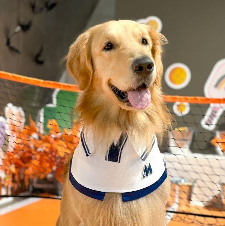 Momoji Tennis Pet Bib - White ชุดเทนนิสชาย เทนนิสหญิง ชุดสำหรับสุนัข แมว ชุดน้องหมามีกระโปรง