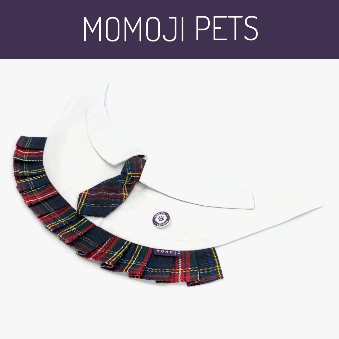 Momoji Stephen Bib - ชุดสัตว์เลี้ยง ผ้าพันคอสุนัข ชุดนักเรียนอินเตอร์