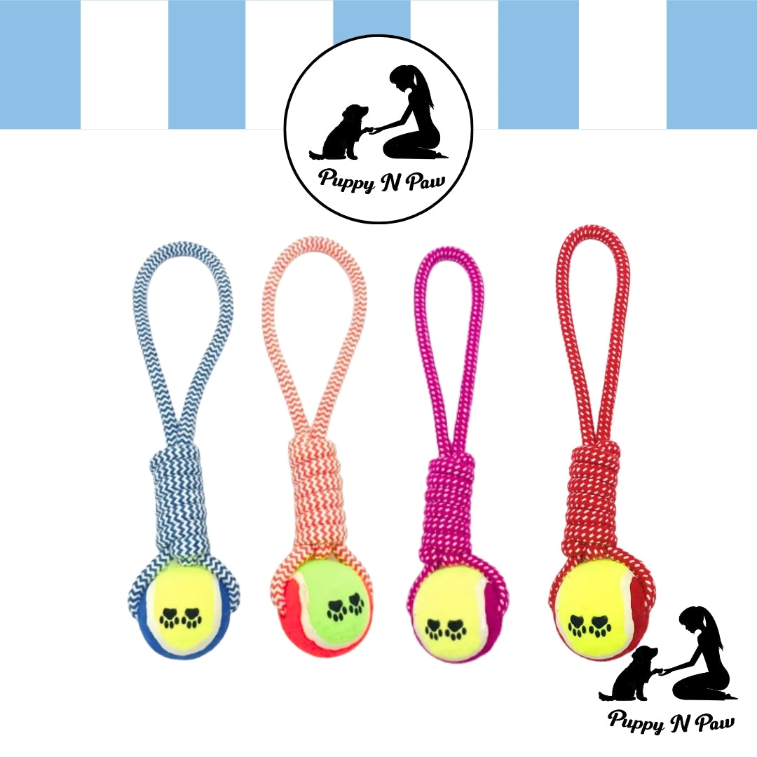 Puppy N Paw Rope with Tennis Ball for Pets - ของเล่นสุนัขเชือกพร้อมลูกเทนนิส