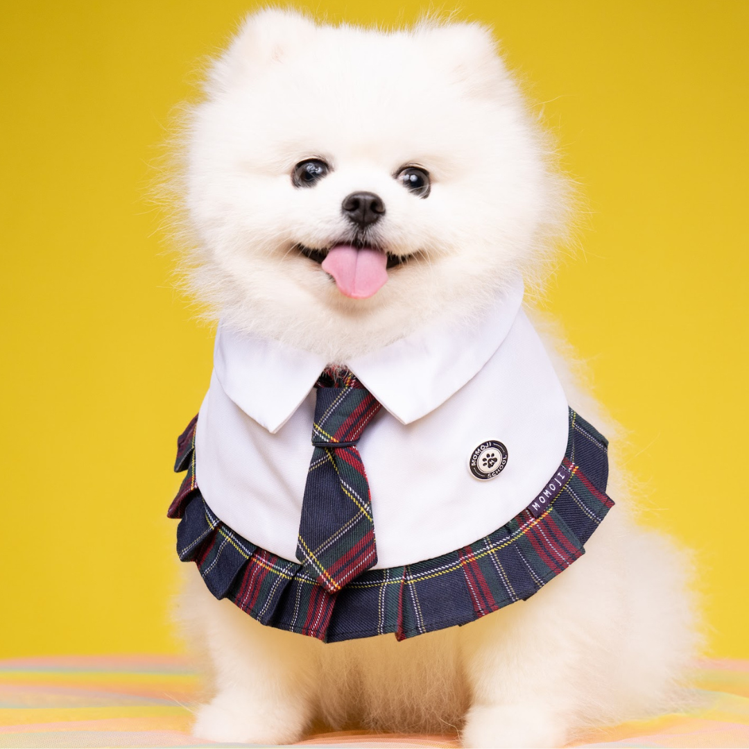 Momoji Stephen Bib - ชุดสัตว์เลี้ยง ผ้าพันคอสุนัข ชุดนักเรียนอินเตอร์