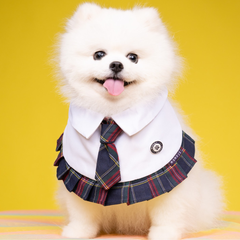 Momoji Stephen Bib - ชุดสัตว์เลี้ยง ผ้าพันคอสุนัข ชุดนักเรียนอินเตอร์