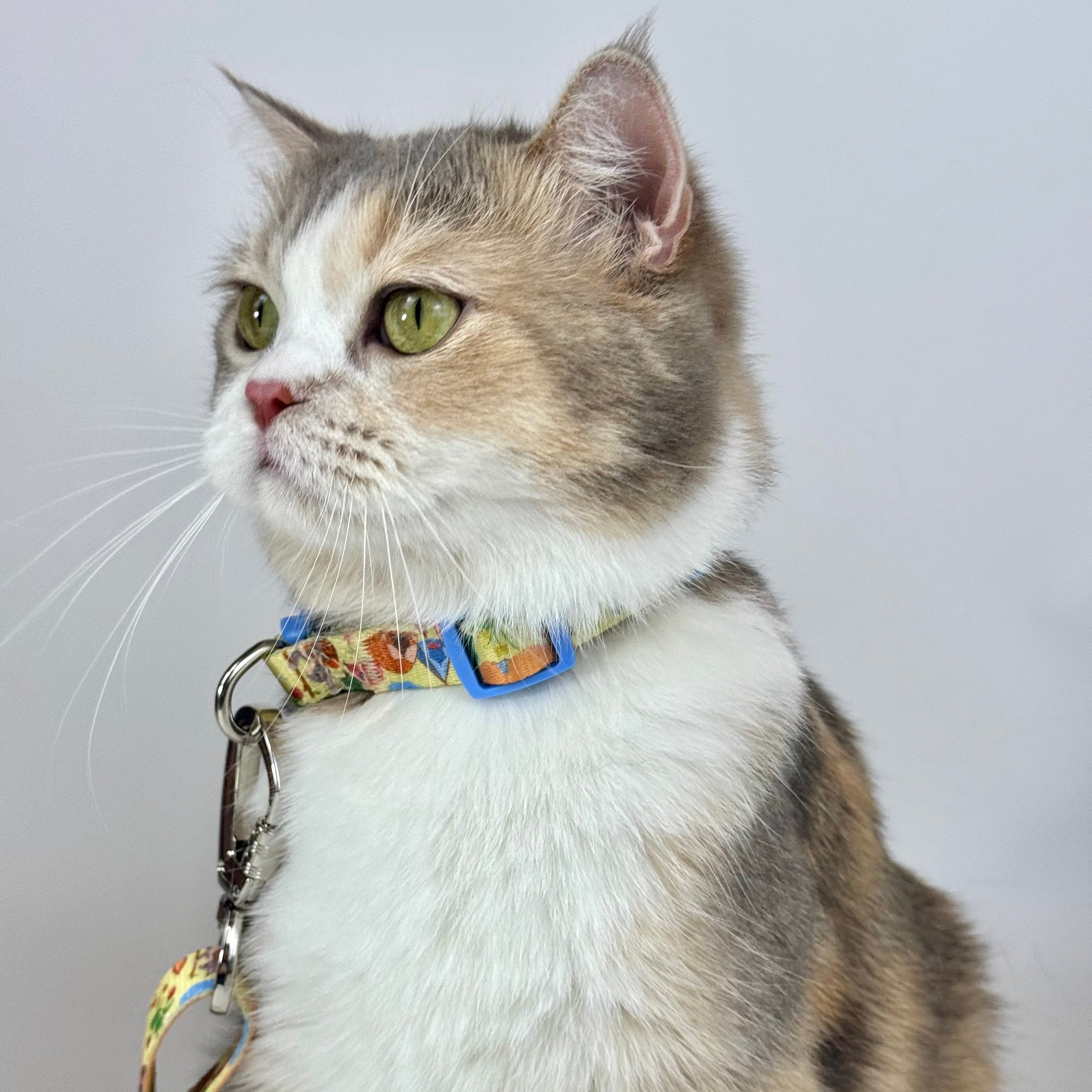 The Lonely Rabbit ปลอกคอ รัดอก สายจูง สำหรับสัตว์เลี้ยง สุนัข หมาใหญ่ แมว Collar Leash Harness