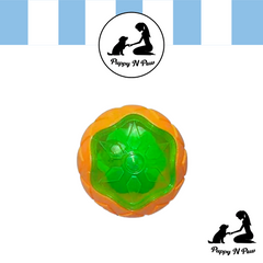 Puppy N Paw Ball Toy Bite Resistant for Pets
