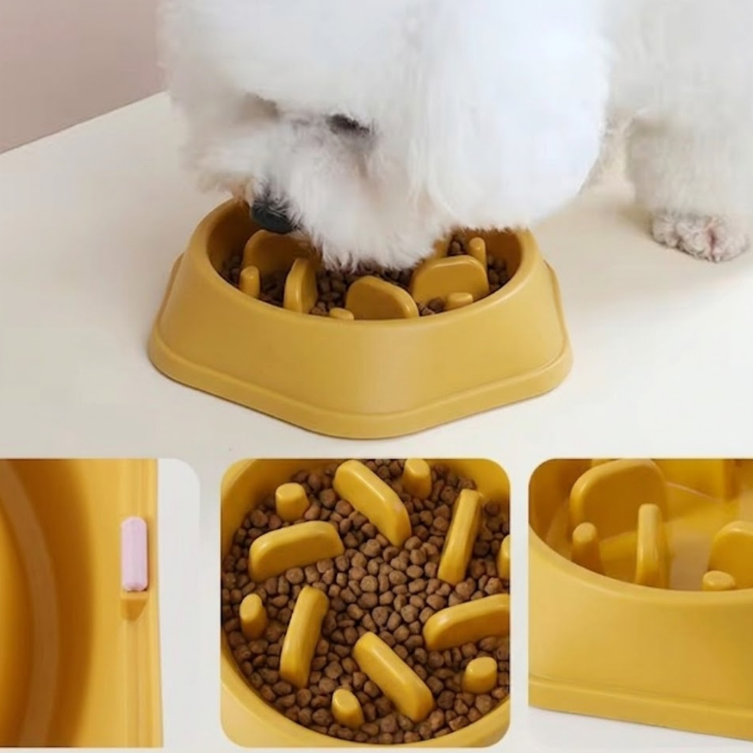 Puppy N Paw Cyclone Bowl - Slow Feed Bowl ชามลดการกินไว สำหรับสัตว์เลี้ยง