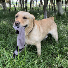 Puppy N Paw Forest Friend - ของเล่นสุนัขรูปกระรอก แรคคูน หมาป่า