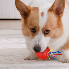 Puppy N Paw Small Ball with Squeaky - บอลสำหรับหมา ลูกบอหมาเล็ก