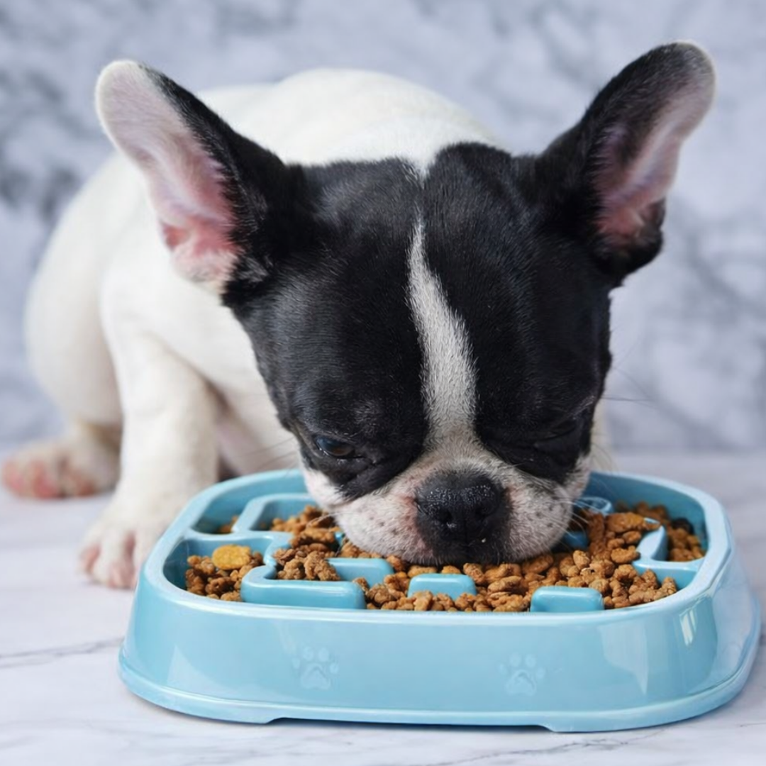 Puppy N Paw Maze - Slow Feed Bowl ชามชะลอการกินไว สำหรับสัตว์เลี้ยง