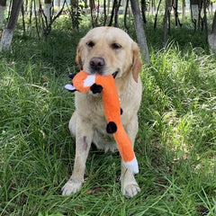 Puppy N Paw Forest Friend - ของเล่นสุนัขรูปกระรอก แรคคูน หมาป่า