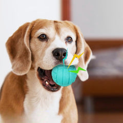 Puppy N Paw Small Ball with Squeaky - บอลสำหรับหมา ลูกบอหมาเล็ก