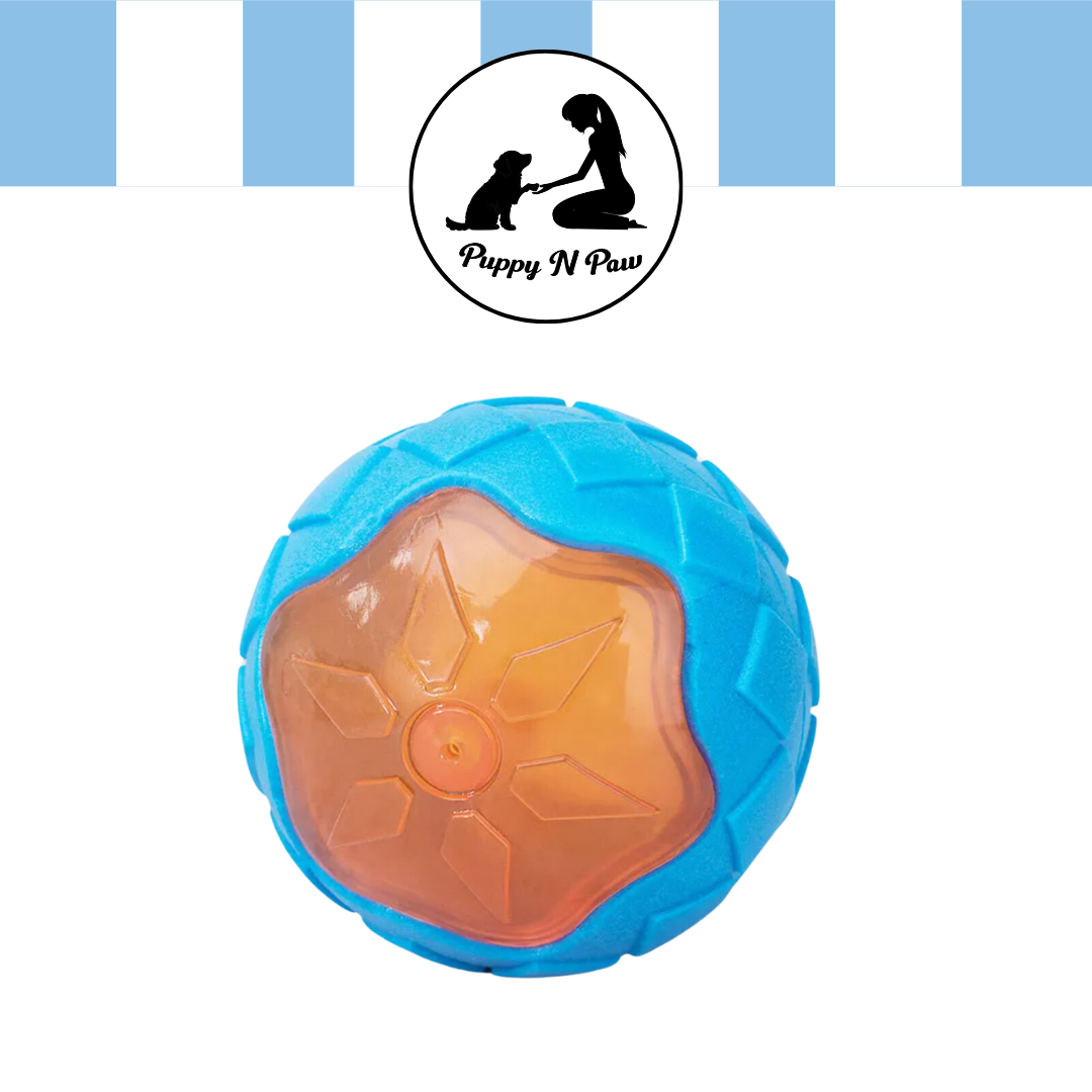 Puppy N Paw Hammer / Ball Dog Toy ของเล่นหมา  ของเล่นขัดฟัน ลูกบอลสำหรับฝึกสุนัข