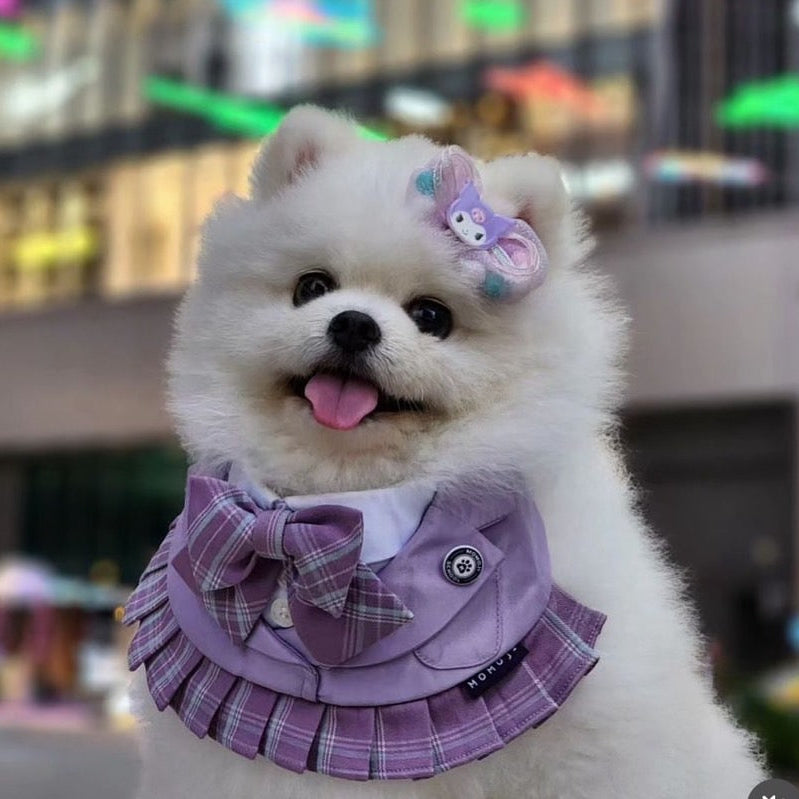Momoji St Edan Bib ชุดสุนัข ชุดแมว ชุดสัตว์เลี้ยง ผ้าพันคอสุนัข ชุดนักเรียน สีม่วง
