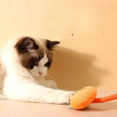 Puppy N Paw Long Tail Cat Toy - ของเล่นแมวเชือกถัก