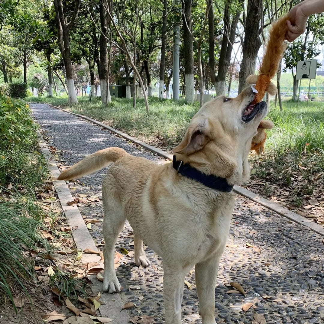 Puppy N Paw Forest Friend - ของเล่นสุนัขรูปกระรอก แรคคูน หมาป่า