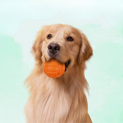Puppy N Paw Small Ball with Squeaky - บอลสำหรับหมา ลูกบอหมาเล็ก