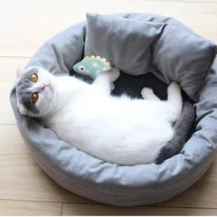 Puppy N Paw Slime Cat Toy with Catnip - ของเล่นสำหรับน้องแมว