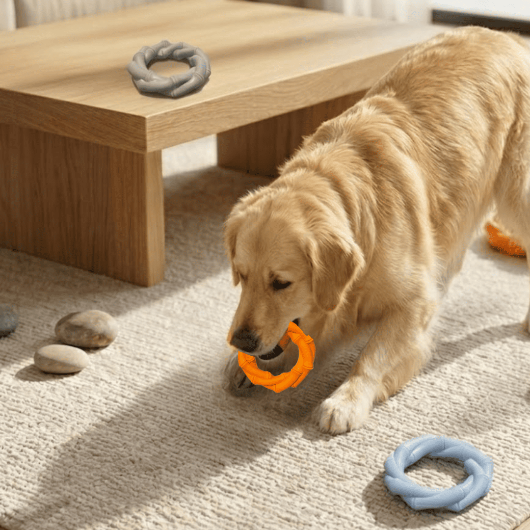Puppy N Paw Chewy Ring Bite Resistant Toy for Pets ของเล่นสุนัข สำหรับกัดยืดหยุ่น แข็งแรงทนทาน