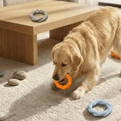 Puppy N Paw Chewy Ring Bite Resistant Toy for Pets ของเล่นสุนัข สำหรับกัดยืดหยุ่น แข็งแรงทนทาน