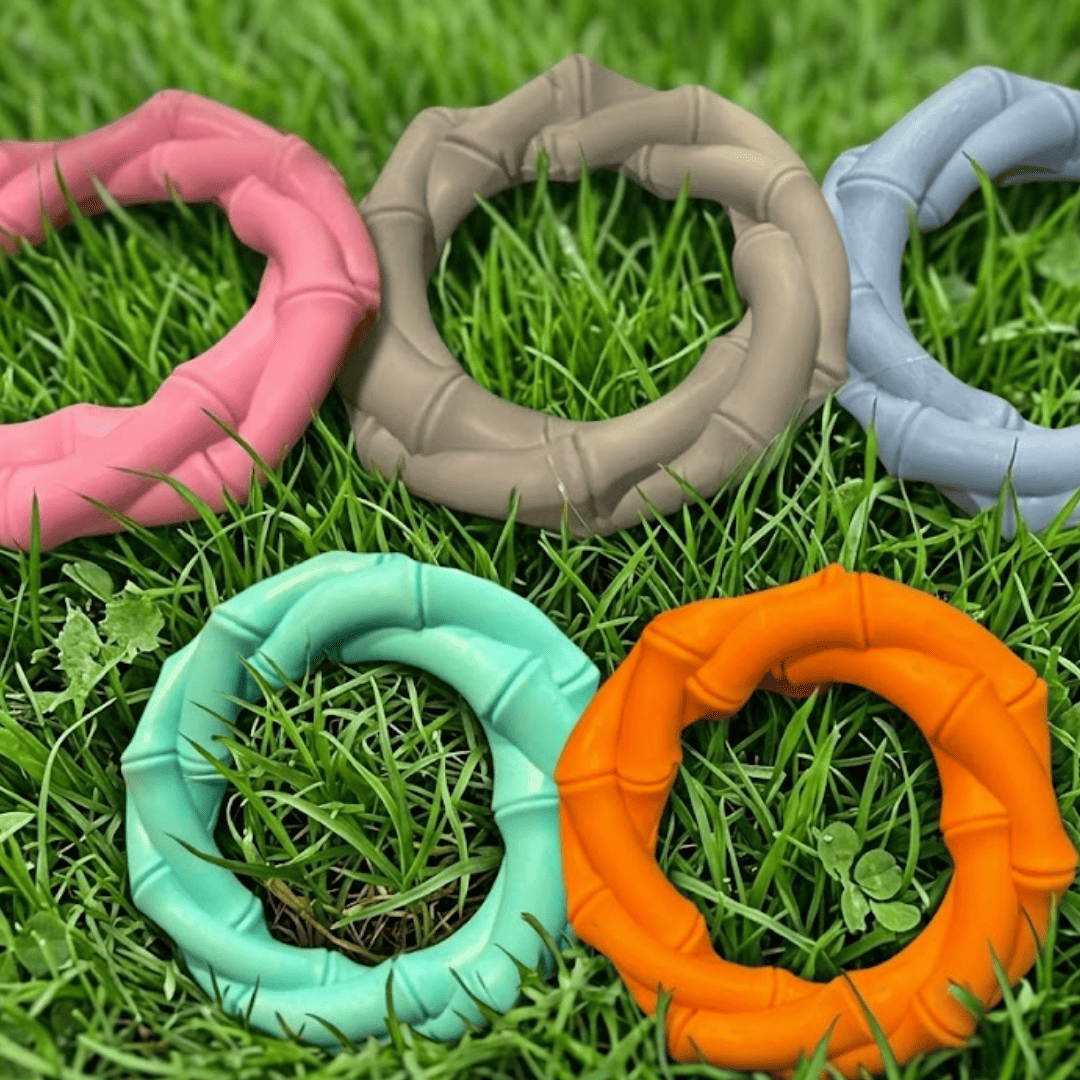 Puppy N Paw Chewy Ring Bite Resistant Toy for Pets ของเล่นสุนัข สำหรับกัดยืดหยุ่น แข็งแรงทนทาน