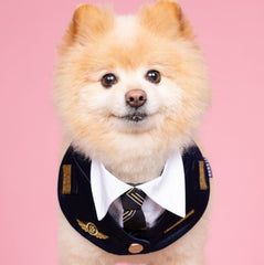 Momoji Air Pilot Bib -  ชุดสุนัข ชุดแมว ชุดสัตว์เลี้ยง ผ้าพันคอสุนัข ชุดนักบิน สีกรม สีขาว