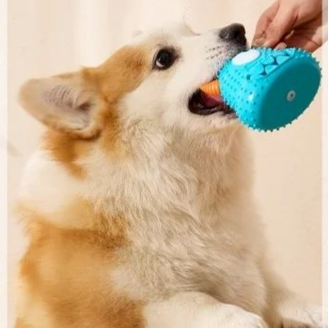 Puppy N Paw Alien Attack Bite Resistant Toy ของเล่นยางเอเลี่ยนสำหรับกัด ทนแรงกัด