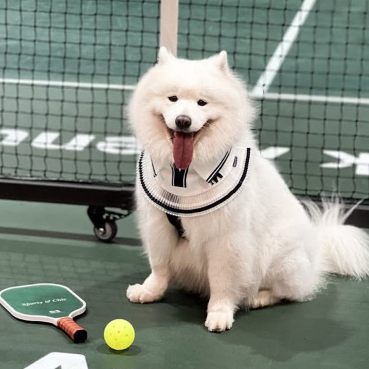 Momoji Tennis Pet Bib - White ชุดเทนนิสชาย เทนนิสหญิง ชุดสำหรับสุนัข แมว ชุดน้องหมามีกระโปรง