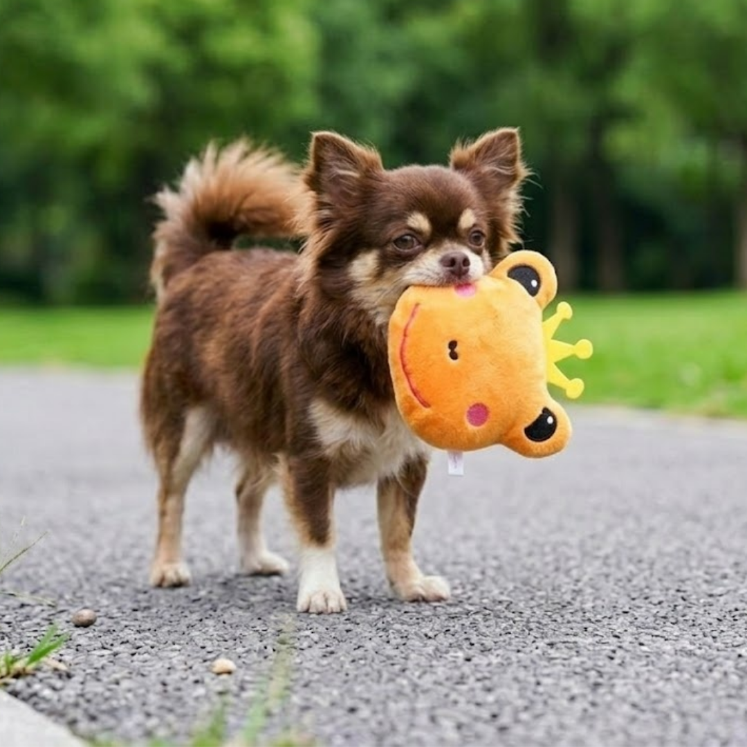 Puppy N Paw The Frog Prince Plush Toy for Pets ของเล่นสำหรับน้องหมาน้องแมว ของเล่นสำหรับสุนัขเล็ก