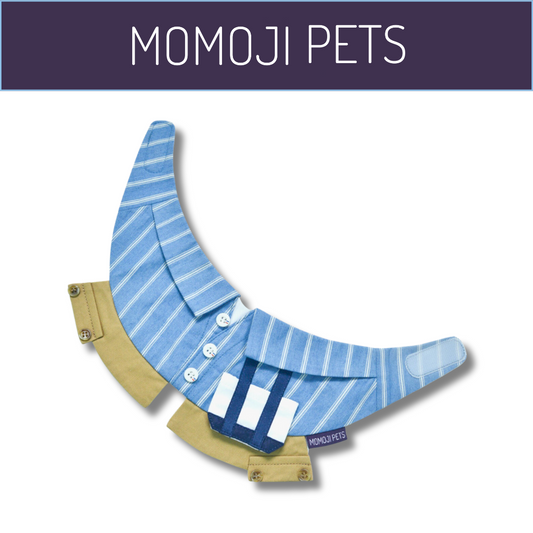 Momoji Anthony Bib - Dusty Blue