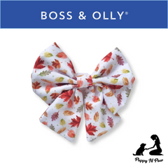Boss & Olly - Autumn Leaves Active Harness รัดอก สายจูง สำหรับสุนัขและแมว Leash and Harness for Dog and Cat