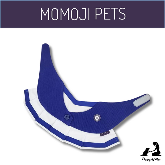Momoji Dionysis Girls Bib - Azure Blue