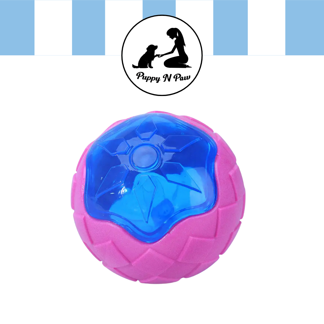 Puppy N Paw Ball Toy Bite Resistant for Pets