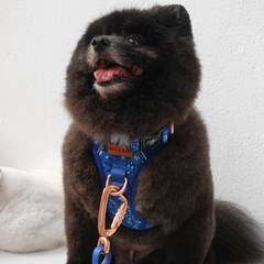 Boss & Olly - Batik Blue รัดอก สายจูงสำหรับสัตว์เลี้ยง สุนัข แมว Leash and Harness for Dog and Cat