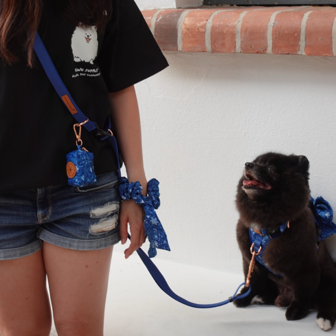 Boss & Olly - Batik Blue รัดอก สายจูงสำหรับสัตว์เลี้ยง สุนัข แมว Leash and Harness for Dog and Cat