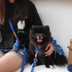 Boss & Olly - Batik Blue รัดอก สายจูงสำหรับสัตว์เลี้ยง สุนัข แมว Leash and Harness for Dog and Cat