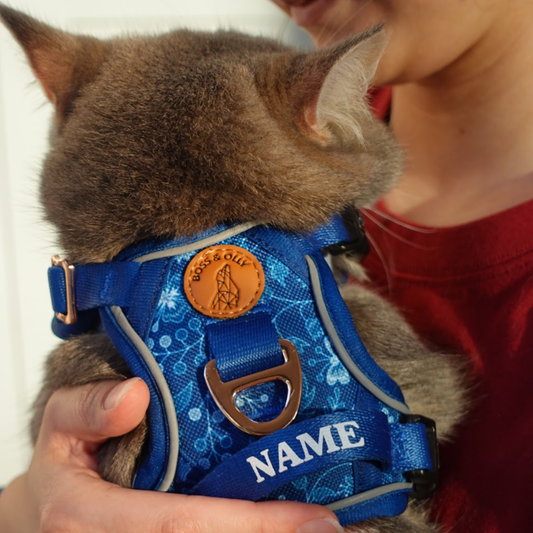 Boss & Olly - Batik Blue รัดอก สายจูงสำหรับสัตว์เลี้ยง สุนัข แมว Leash and Harness for Dog and Cat