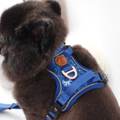 Boss & Olly - Batik Blue รัดอก สายจูงสำหรับสัตว์เลี้ยง สุนัข แมว Leash and Harness for Dog and Cat