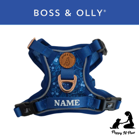 Boss & Olly - Batik Blue รัดอก สายจูงสำหรับสัตว์เลี้ยง สุนัข แมว Leash and Harness for Dog and Cat