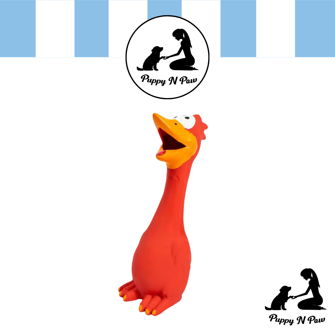 Puppy N Paw Crazy Chicken Rubber Toy ของเล่นยางกัด รูปไก่