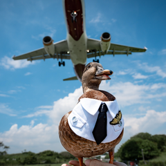 Momoji Air Pilot Bib -  ชุดสุนัข ชุดแมว ชุดสัตว์เลี้ยง ผ้าพันคอสุนัข ชุดนักบิน สีกรม สีขาว