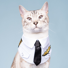 Momoji Air Pilot Bib -  ชุดสุนัข ชุดแมว ชุดสัตว์เลี้ยง ผ้าพันคอสุนัข ชุดนักบิน สีกรม สีขาว