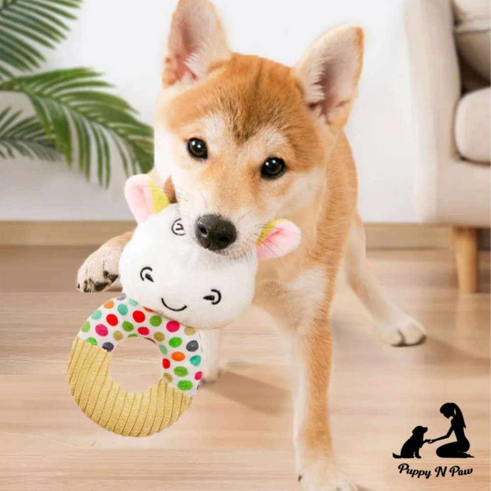 Puppy N Paw Friends 4 Fun 2 Plush Toy ตุ๊กตาสำหรับสัตว์เลี้ยง สุนัข หมา แมว สำหรับกัดมีเสียง