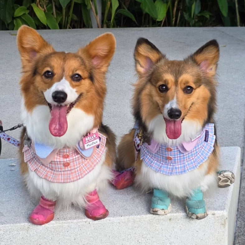 Momoji Evelyn Bib - ชุดน้องหมาน้องแมว ผู้หญิงมีกระโปรง ลูกคุณหนู สำหรับสัตว์เลี้ยง