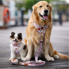 Boss & Olly - Autumn Leaves Active Harness รัดอก สายจูง สำหรับสุนัขและแมว Leash and Harness for Dog and Cat
