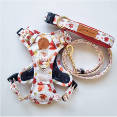 Boss & Olly - Autumn Leaves Active Harness