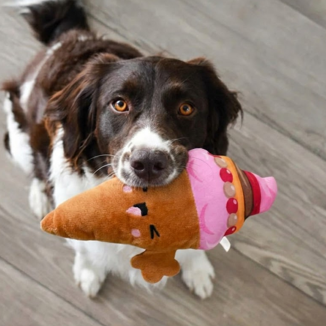 Puppy N Paw Happy Ice Cream Plush Toy for Pets ของเล่นสุนัข กัดมีเสียง