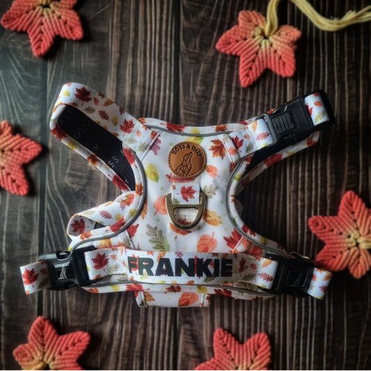 Boss & Olly - Autumn Leaves Active Harness รัดอก สายจูง สำหรับสุนัขและแมว Leash and Harness for Dog and Cat