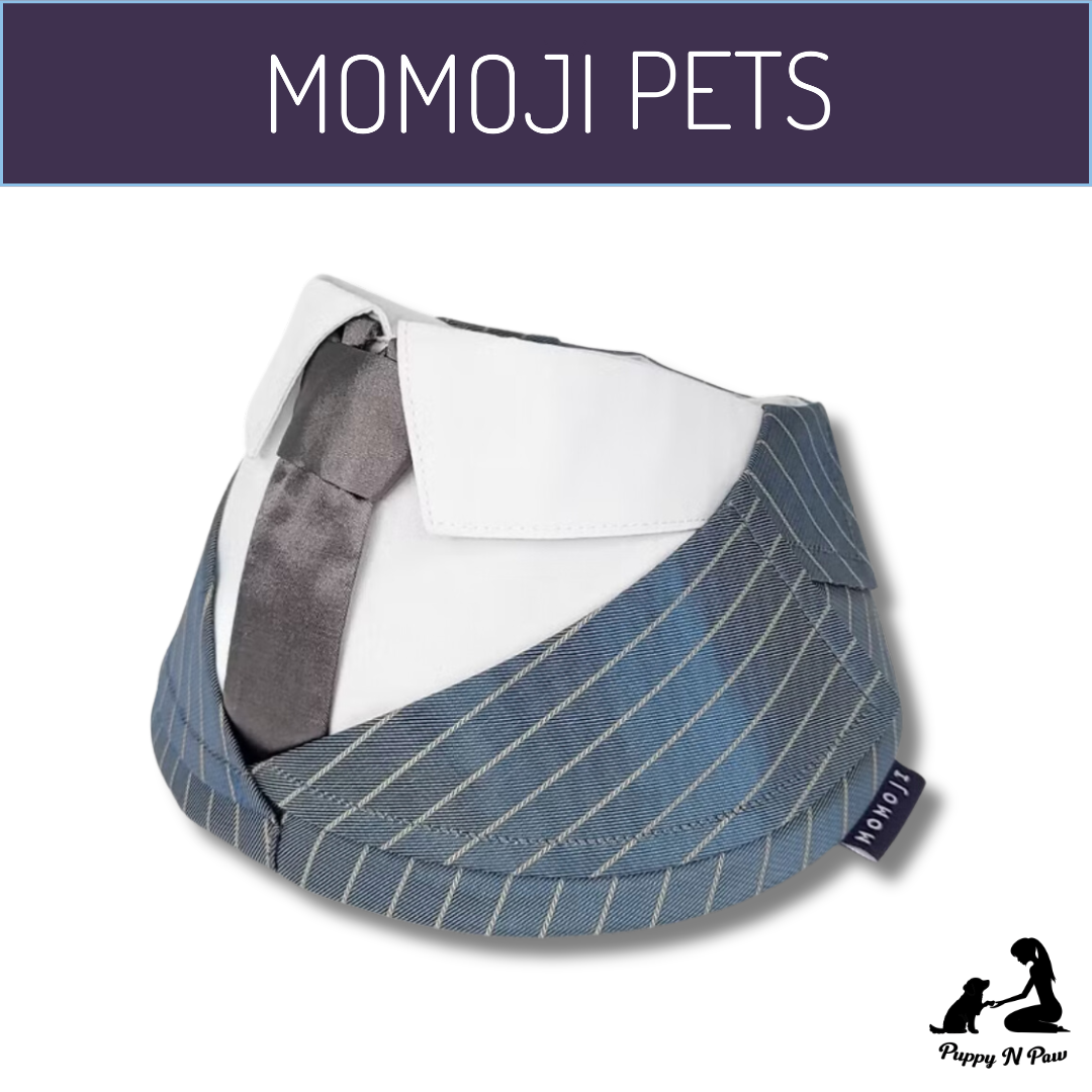 Momoji Pet Bib - Des Voeux ชุดสุนัข ชุดแมว ชุดสัตว์เลี้ยง ผ้าพันคอสุนัข ชุดสูท