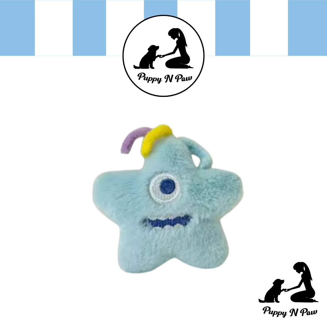 Puppy N Paw Freaky Star Squeaky Toy