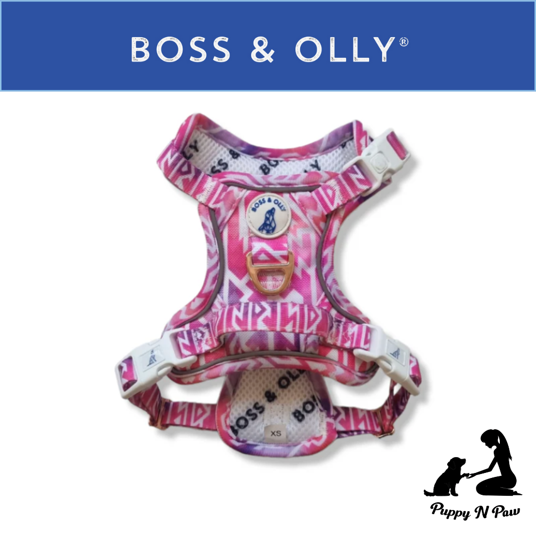 Boss & Olly - Fruity Sorbet